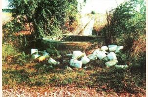 Abandono de envases de fitosanitarios en Capdesaso