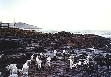 Voluntarios