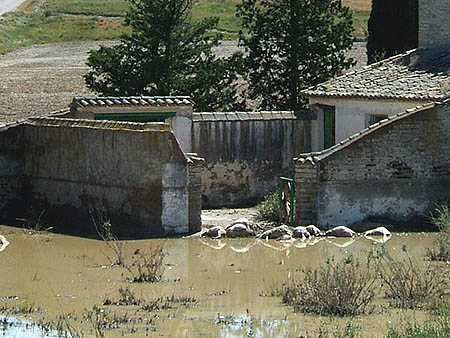 Inundaciones en Monegros
