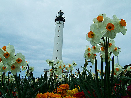 El jardín del mar