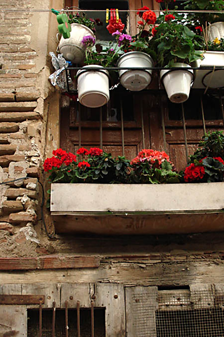 Flowers on the balcony