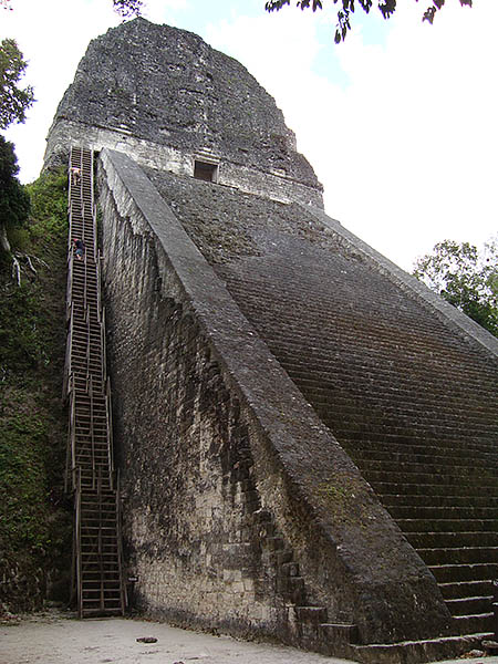 Templo de la selva