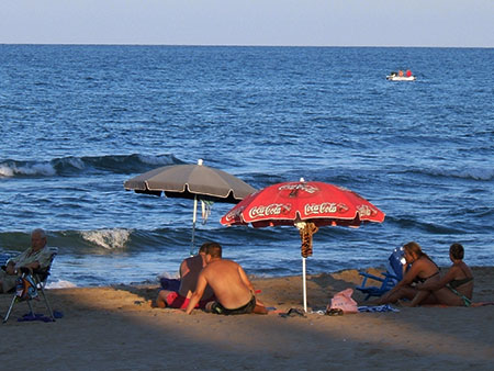 Los reyes de la playa