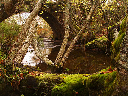 Puente del Rojadillo