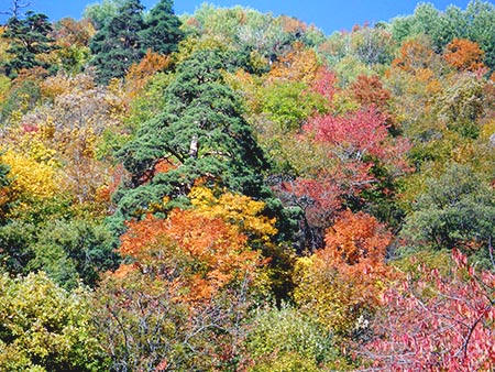 Colores de octubre