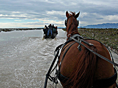 A caballo por el Delta