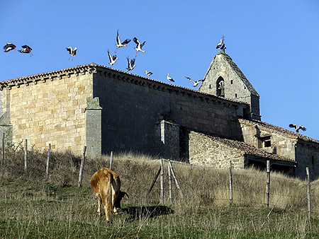 Espantá de cigüeñas