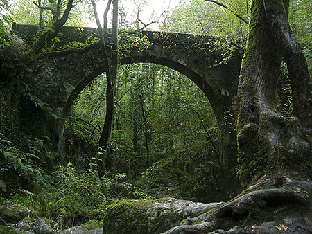 El puente encantado