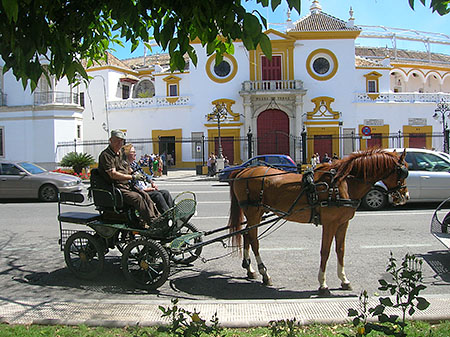 A caballo en la Maestranza