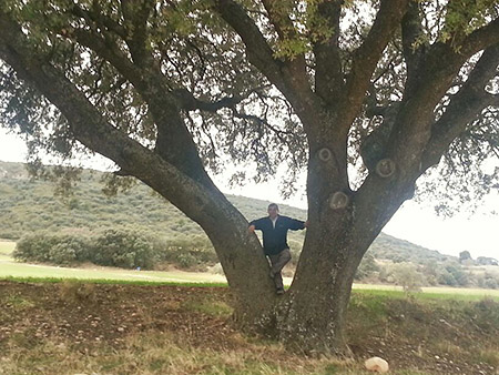 Colección de anillos