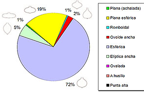 Formas predominantes del bulbo de la cebolla madura