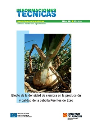 Efecto de la densidad de siembra en la Cebolla de Fuentes
