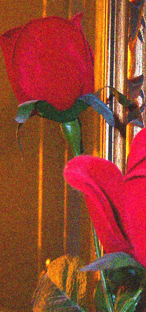 Rosas