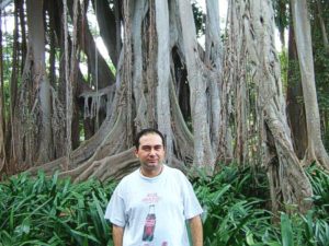 Árboles centenarios en el Jardín Botánico de Puerto de la Cruz