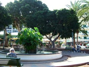 Plaza del Charco