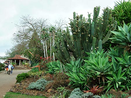 Parada para el almuerzo en el hotel base Aberdare Country Club