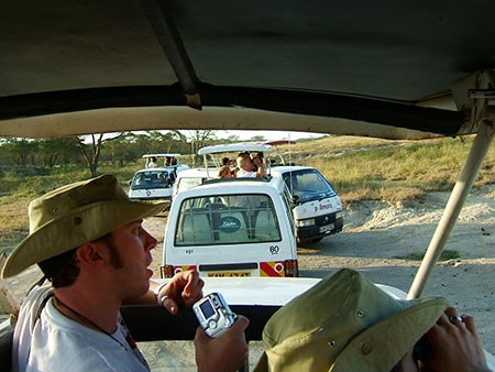 Safari fotográfico, reunión de pastores...