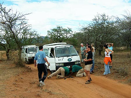 Reparando los daños mecánicos en medio de la sabana del Masai Mara