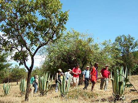 Safari a pie con los masais