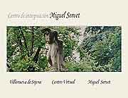 Centro de Interpretación Miguel Servet